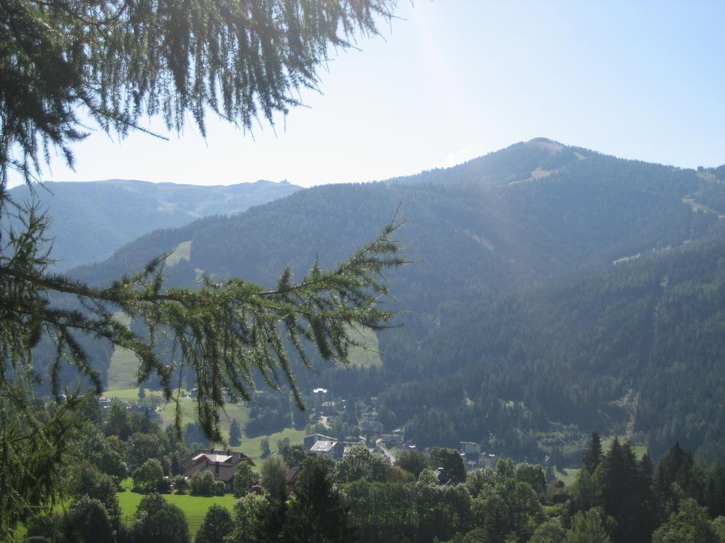 Ferienhaus Stiglitzweg Bad Kleinkirchheim Cameră foto